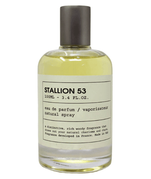 Emper Fragancias Emper Stallion 53 100ml EDP 6291108524893