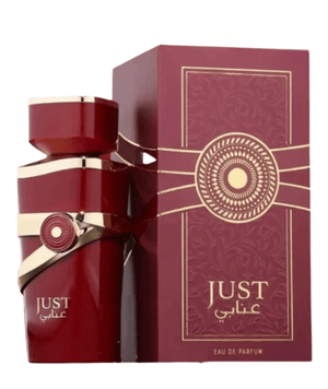 Fragrance World Fragancias Fragrance World Just Anabi 100ml Spray EDP 6290360375885