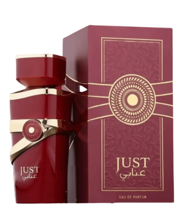 Fragrance World Fragancias Fragrance World Just Anabi 100ml Spray EDP 6290360375885
