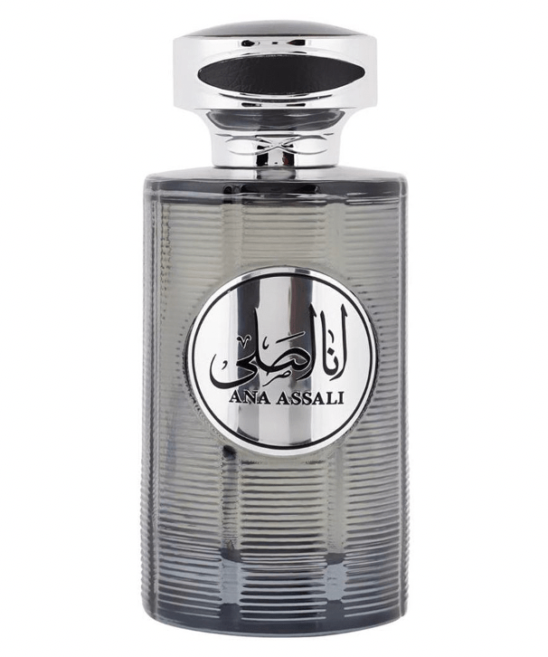 Rihanah Fragancias Rihanah Ana Assali Silver Men EDP 100ml 6291108730386